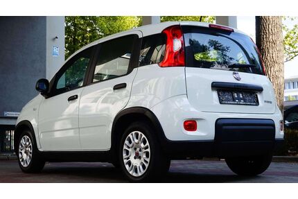 Fiat Panda Gebrauchtwagen