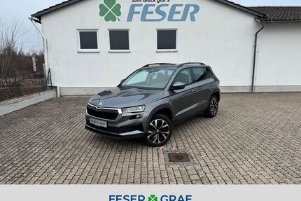 Skoda Karoq Gebrauchtwagen