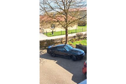 Ford Mustang Gebrauchtwagen