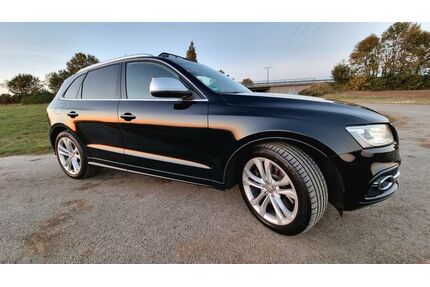 Audi SQ5 Gebrauchtwagen