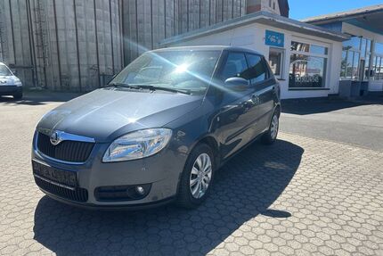 Skoda Fabia Gebrauchtwagen
