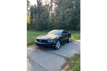 Ford Mustang Gebrauchtwagen