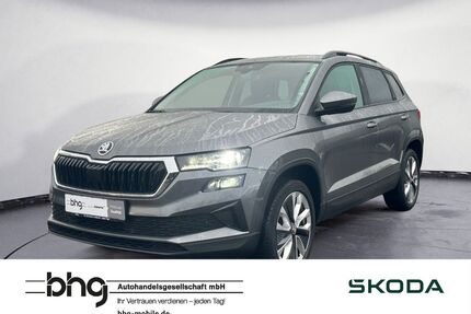Skoda Karoq Gebrauchtwagen