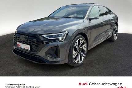 Audi Q8 e-tron Gebrauchtwagen