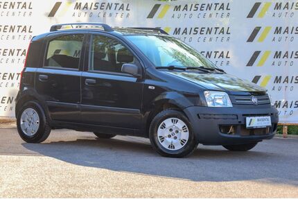 Fiat Panda Gebrauchtwagen