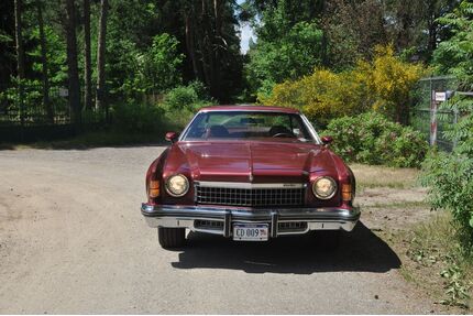 Chevrolet Chevelle Gebrauchtwagen
