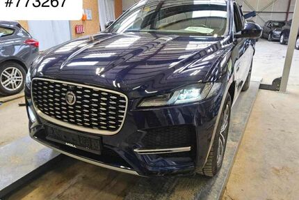 Jaguar F-Pace Gebrauchtwagen