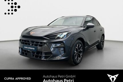 Cupra Terramar Gebrauchtwagen