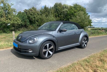 VW Beetle Gebrauchtwagen