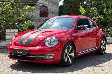 VW Beetle Gebrauchtwagen