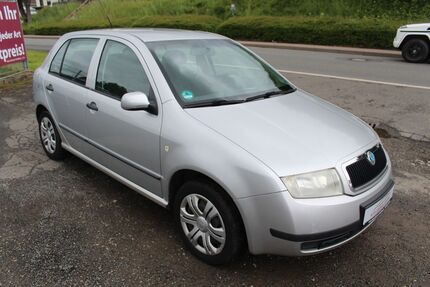 Skoda Fabia Gebrauchtwagen