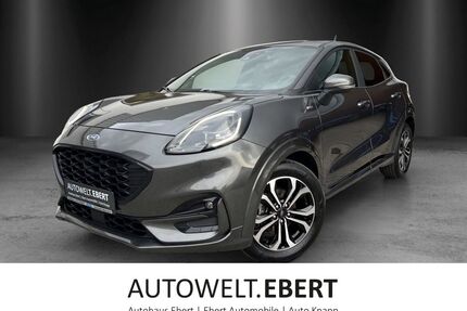 Ford Puma Gebrauchtwagen