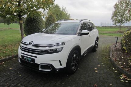 Citroen C5 Aircross Gebrauchtwagen