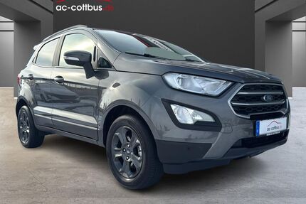 Ford EcoSport Gebrauchtwagen