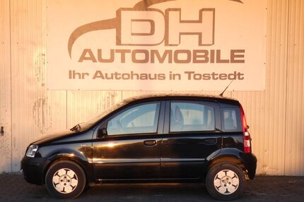 Fiat Panda Gebrauchtwagen