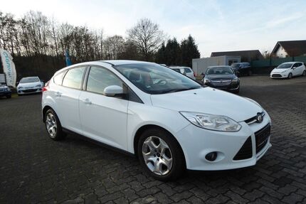 Ford Focus Gebrauchtwagen