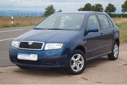 Skoda Fabia Gebrauchtwagen