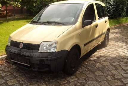 Fiat Panda Gebrauchtwagen