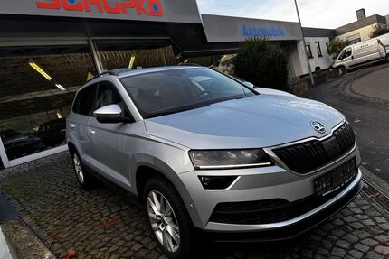 Skoda Karoq Gebrauchtwagen