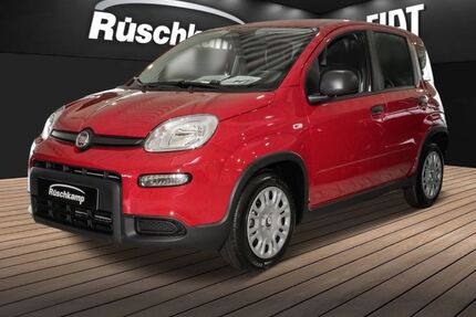 Fiat Panda Gebrauchtwagen