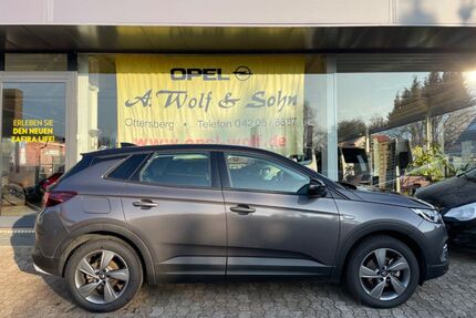 Opel Grandland (X) Gebrauchtwagen
