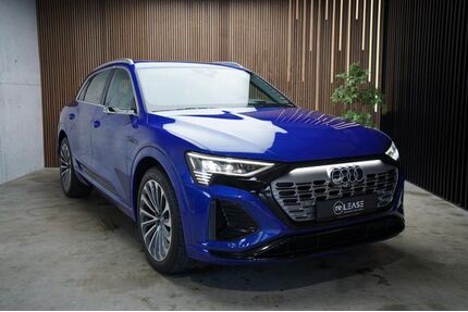 Audi Q8 e-tron Gebrauchtwagen