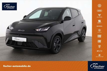 BYD DOLPHIN Gebrauchtwagen