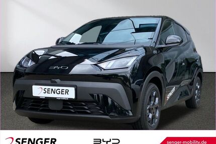 BYD DOLPHIN Gebrauchtwagen