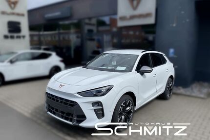 Cupra Terramar Gebrauchtwagen