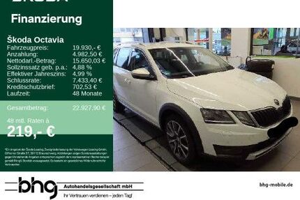 Skoda Octavia Gebrauchtwagen