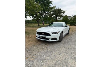 Ford Mustang Gebrauchtwagen