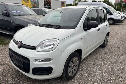 Fiat Panda Gebrauchtwagen