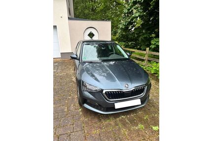 Skoda Scala Gebrauchtwagen