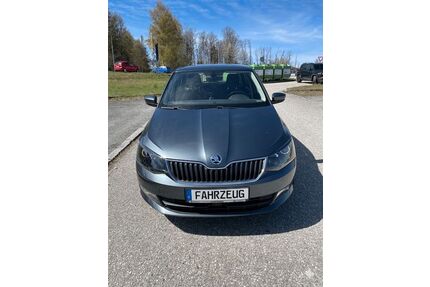 Skoda Fabia Gebrauchtwagen