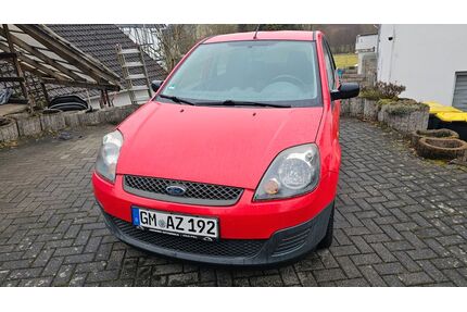 Ford Fiesta Gebrauchtwagen