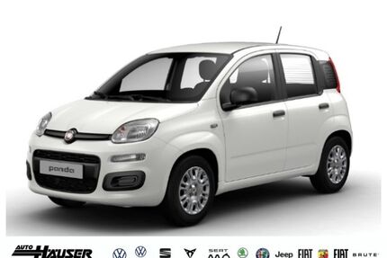 Fiat Panda Gebrauchtwagen