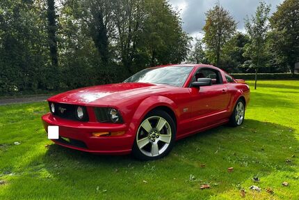 Ford Mustang Gebrauchtwagen