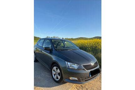Skoda Fabia Gebrauchtwagen