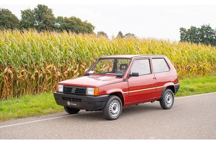 Fiat Panda Gebrauchtwagen