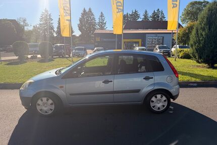 Ford Fiesta Gebrauchtwagen