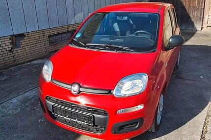 Fiat Panda Gebrauchtwagen