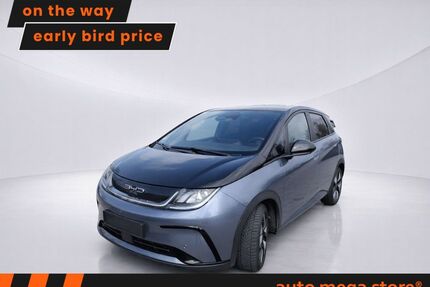 BYD DOLPHIN Gebrauchtwagen