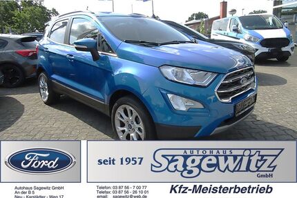 Ford EcoSport Gebrauchtwagen
