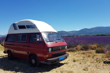 VW T3 Multivan Gebrauchtwagen
