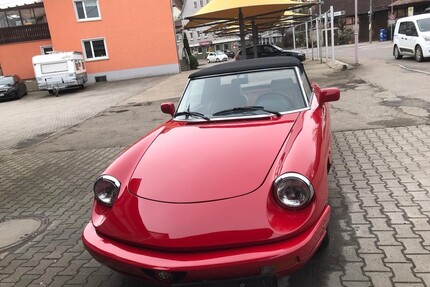 Mini Alfa Spider 