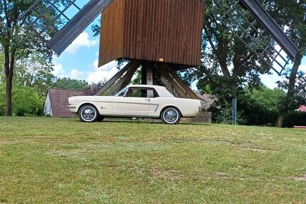 Ford Mustang Gebrauchtwagen