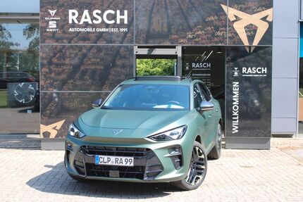Cupra Terramar Gebrauchtwagen
