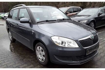 Skoda Fabia Gebrauchtwagen