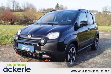 Fiat Panda Gebrauchtwagen