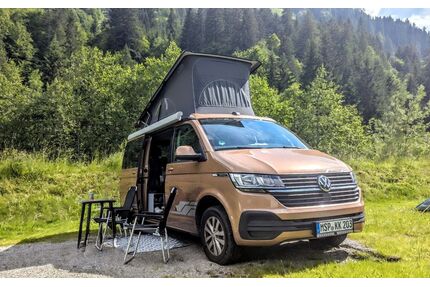 VW T6 Transporter Gebrauchtwagen